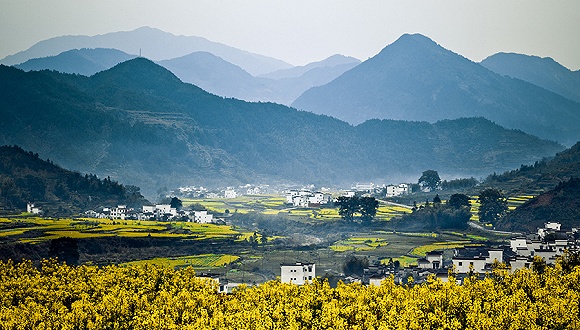 江西,友情、家庭与爱的温馨日常故事